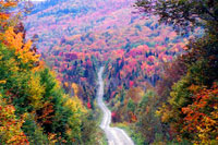 tour4-fall-foliage.jpg tour4-fall-foliage.jpg