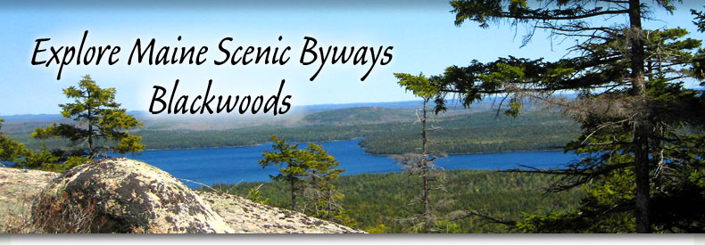 State Route 182 Scenic Byway - Tunk Lake by BrotherM