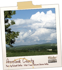 aroostook