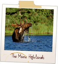 highlands