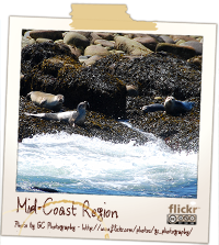 midcoast midcoast